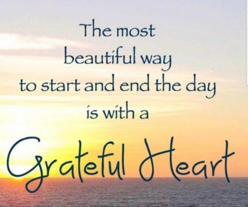 Appreciation Quote
